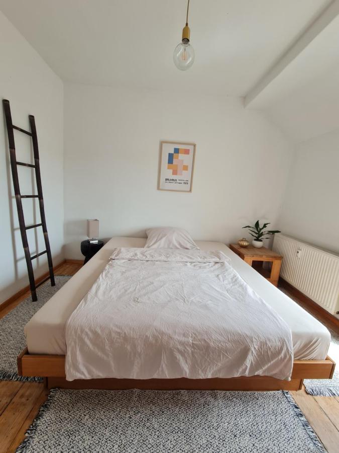 Geschmackvolle Wohnung Im Herzen Von 진치히 외부 사진